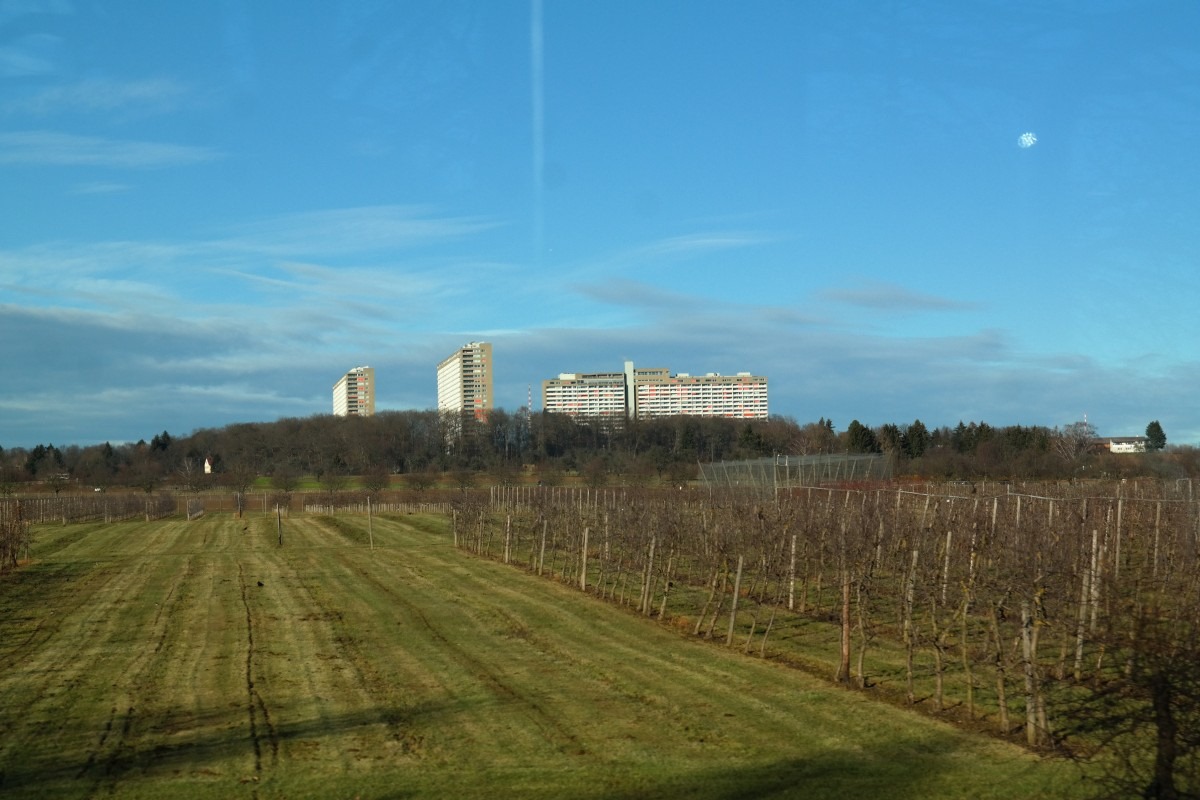 Росреестр ЛНР верифицировал 320 тыс. кв. м земель для строительных нужд