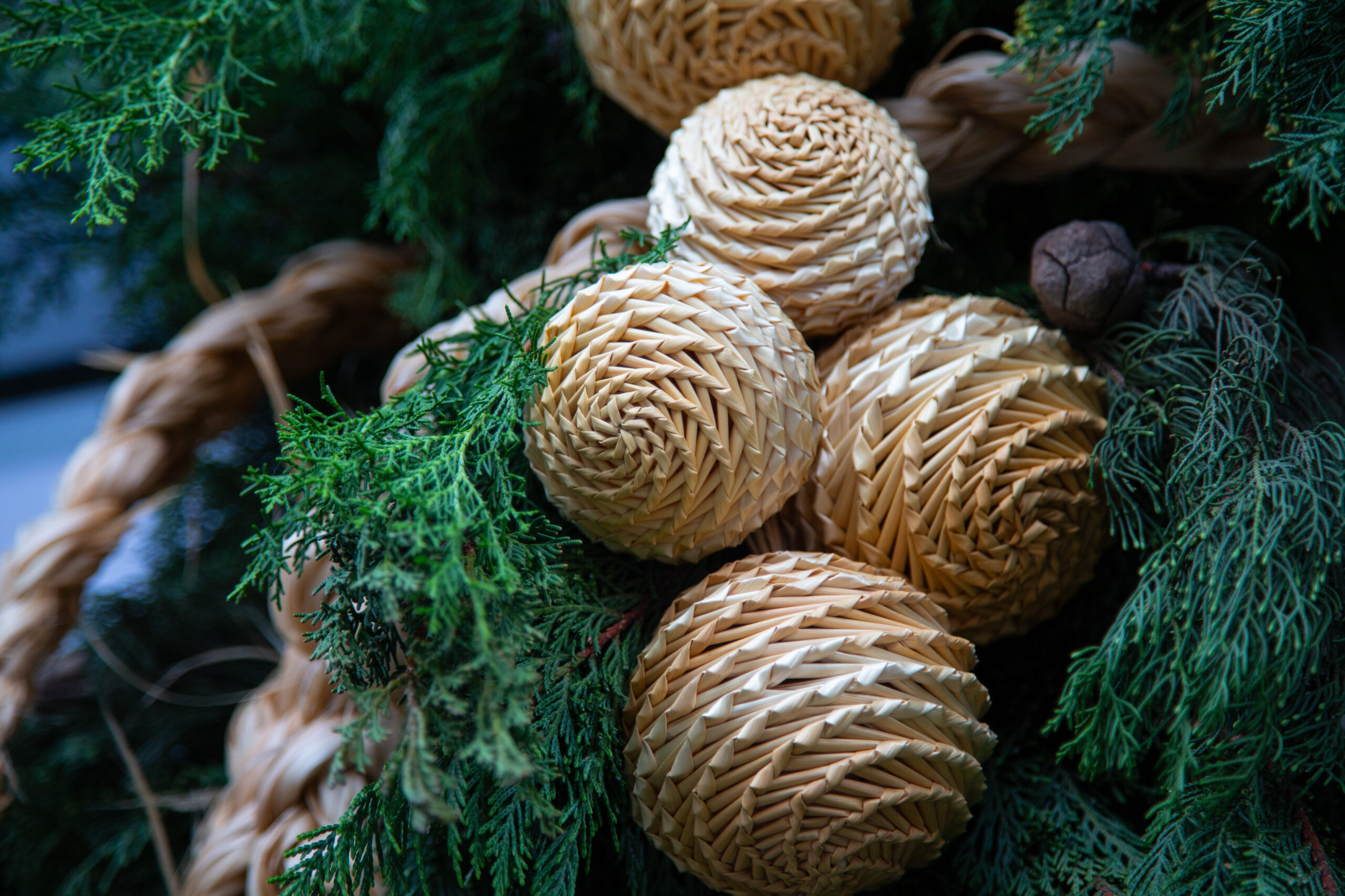 Анна Семенович выступила против живых новогодних ёлок