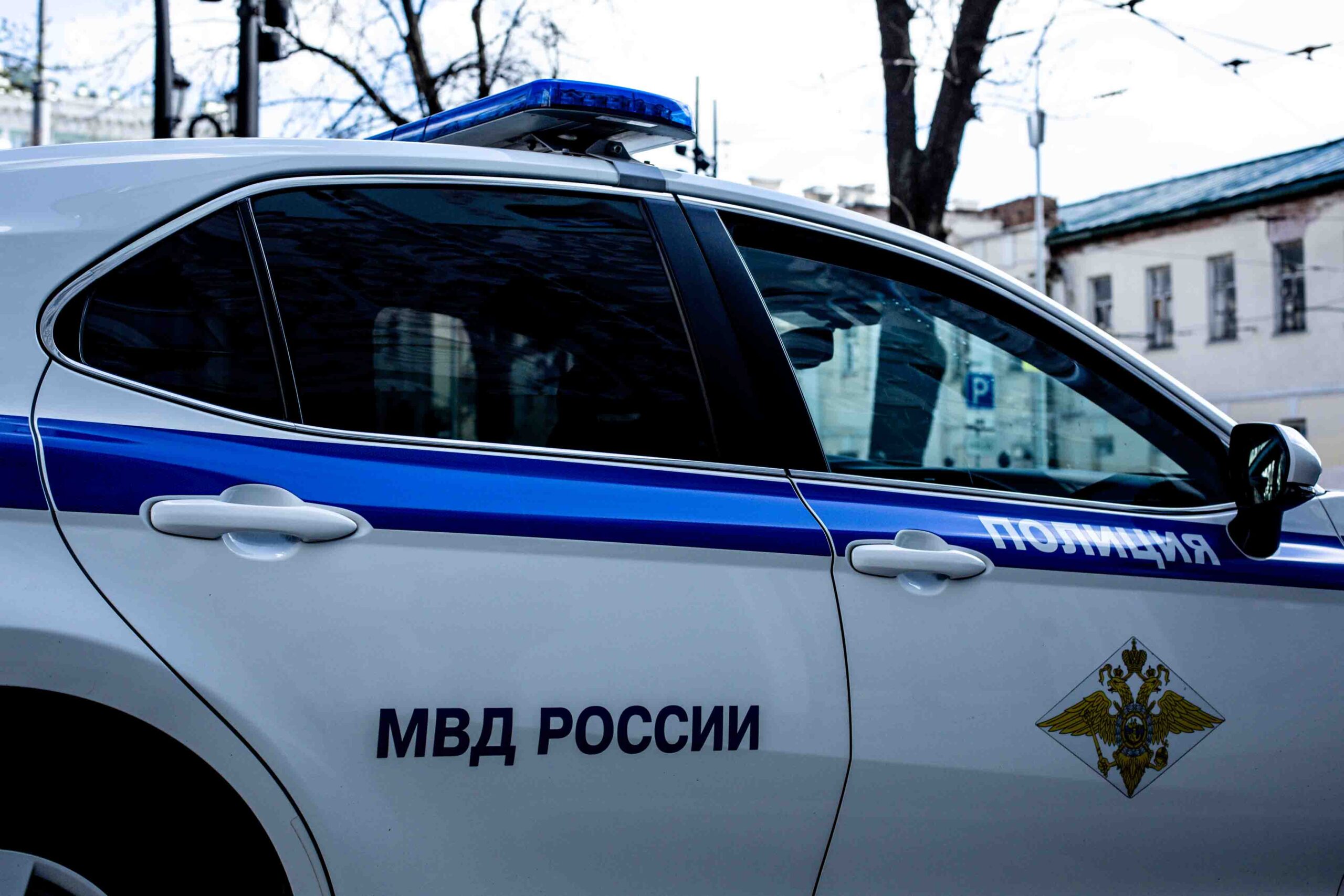 Бастрыкин поручил доложить по делу о самоуправстве женщины в Подмосковье