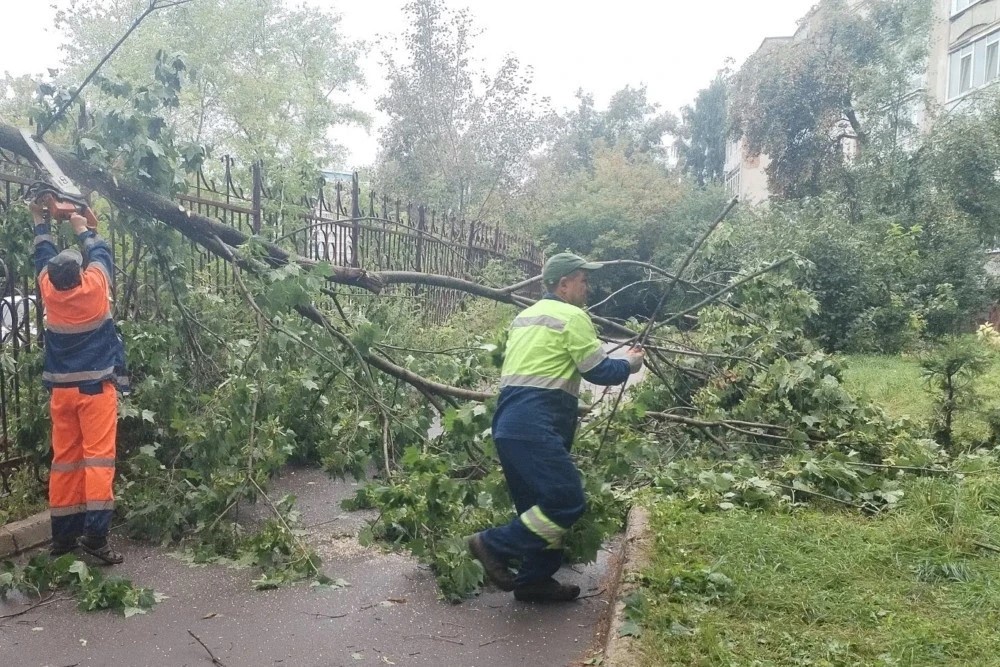 В Ижевске устраняют последствия ночного урагана